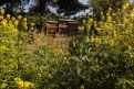 Bienenstöcke in Wildblumenwiese